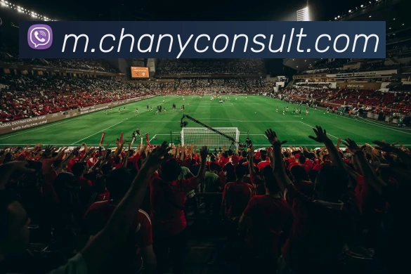 奖项证书